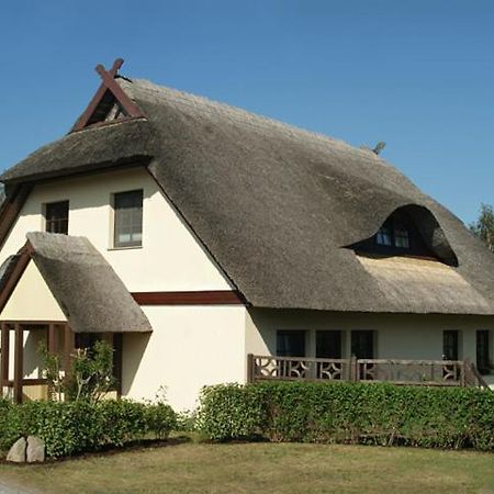 Apartamento Zum Froschkoenig Ahrenshoop Exterior foto