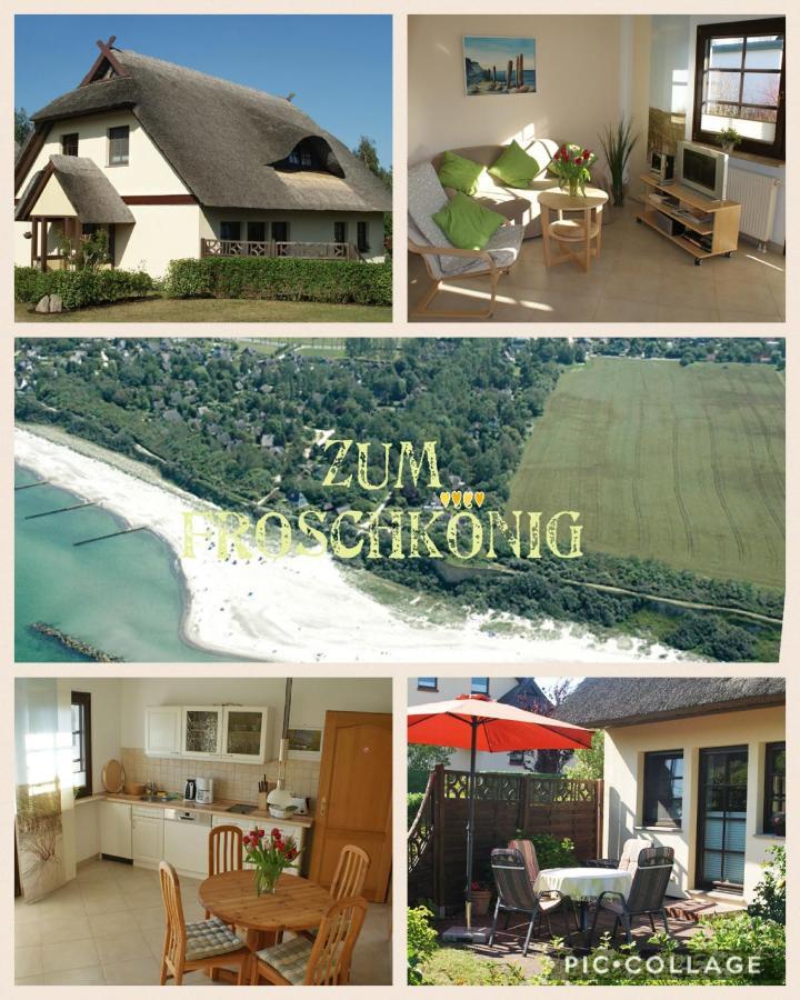 Apartamento Zum Froschkoenig Ahrenshoop Exterior foto