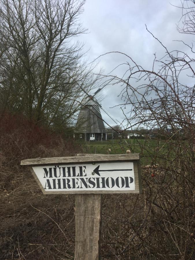 Apartamento Zum Froschkoenig Ahrenshoop Exterior foto