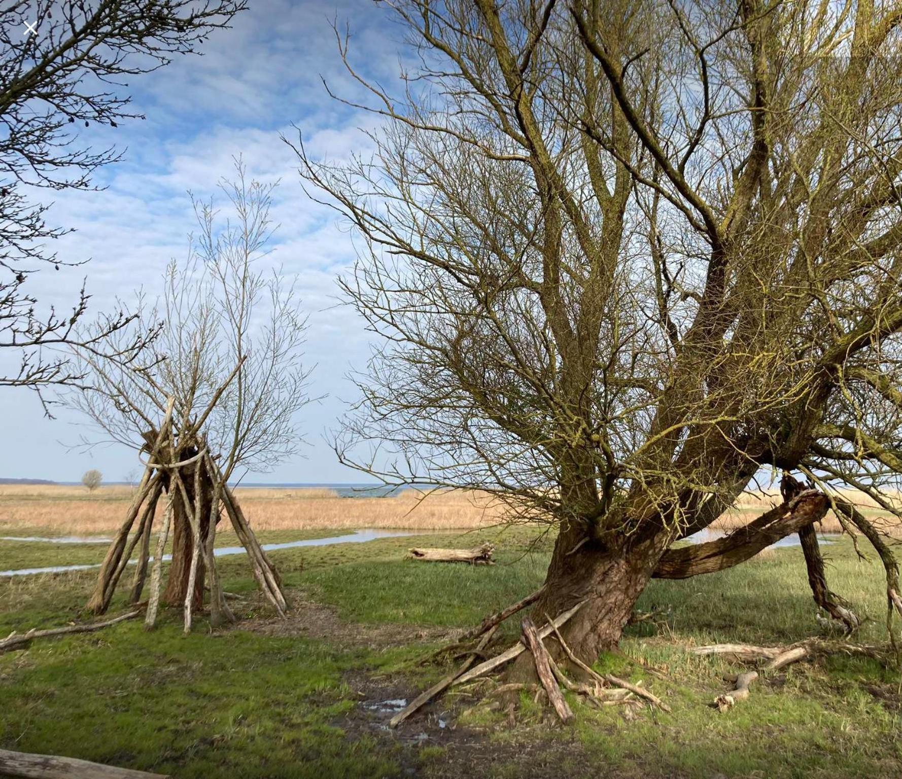 Apartamento Zum Froschkoenig Ahrenshoop Exterior foto